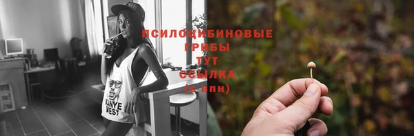 прущие крисы Алексеевка
