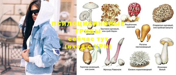прущие крисы Алексеевка