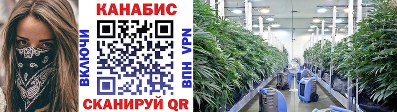 где купить наркотик  Апрелевка  Конопля THC 21% 